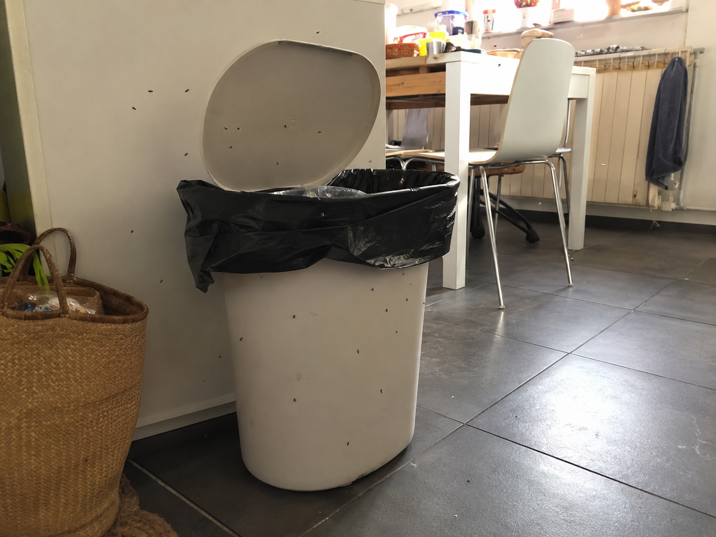 poubelles-drosophiles